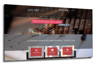 website studio leizart